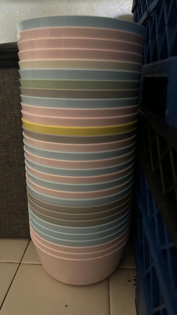 Bowls (assorted pastels)