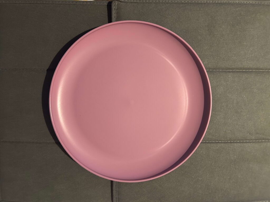Plate (plastic, deep pink) Plate (plastic, deep pink)